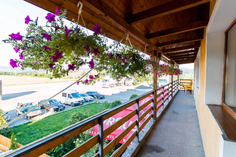 Pensiunea Restaurant  Ionuț